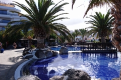 Hotel Barcelo Santiago, Tenerife DSC_0508