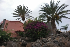 Hotel H10 Rubicon Palace in Playa Blanca, Lanzarote DSC_0211