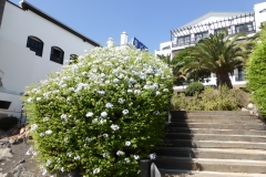 Hotel H10 Rubicon Palace in Playa Blanca, Lanzarote P1260249