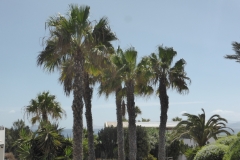 Hotel H10 Rubicon Palace in Playa Blanca, Lanzarote P1260254