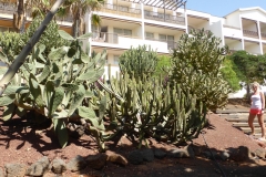 Hotel H10 Rubicon Palace in Playa Blanca, Lanzarote P1260282