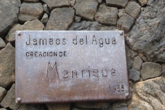 Jameos del Agua, Las Palmas, Lanzarote P1260394