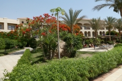 Jaz Aquamarine Hotel in Hurghada, Egypt P1010460