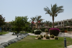 Jaz Aquamarine Hotel in Hurghada, Egypt P1010543