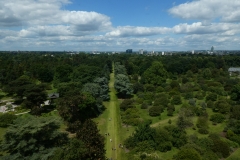 Kew Gardens, Royal Botanic Gardens, Kew, London P1120496