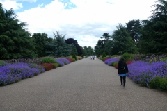 Kew Gardens, Royal Botanic Gardens, Kew, London P1120848