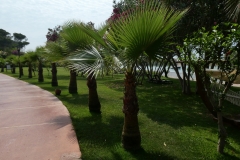 Letoonia Golf Resort Hotel in Belek, Antalya , Turkey P1110498