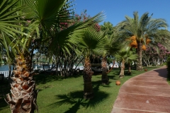 Letoonia Golf Resort Hotel in Belek, Antalya, Turkey P1110766