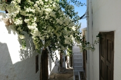 Lindos, Rhodes, Greece  DSC_0113