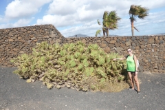 Montaña Roja in Playa Blanca, Lanzarote P1250366