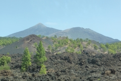 Teide National Park in Tenerife P1230167